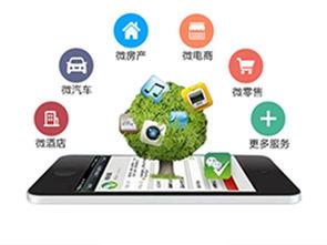 軟件開發與供應 數字化時代的技術橋梁