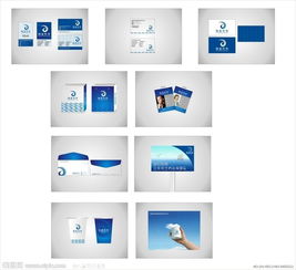 珈藍(lán)科技網(wǎng)絡(luò)信息公司 數(shù)字視覺與智能服務(wù)引領(lǐng)者