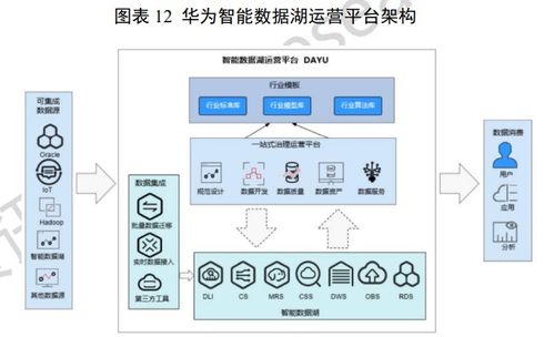 中國(guó)數(shù)據(jù)湖產(chǎn)品重點(diǎn)廠商全景掃描 賦能大數(shù)據(jù)服務(wù)新生態(tài)